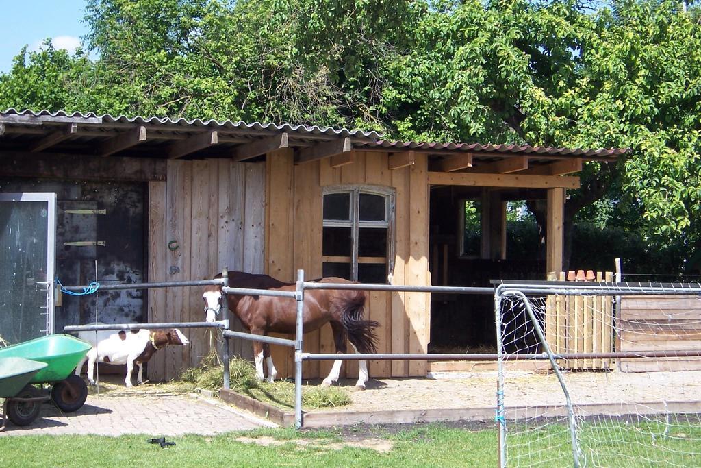 Landhotel Zum Adler Oberbechingen Exterior foto